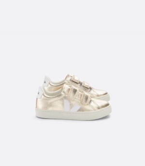 Veja Go To Seamless Fitted Kids | FQCW69813