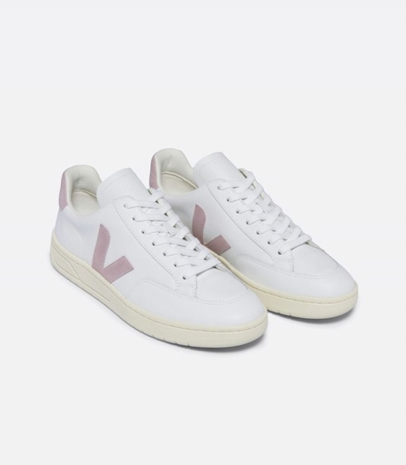 Veja All Day Cargo Men | LODW89627