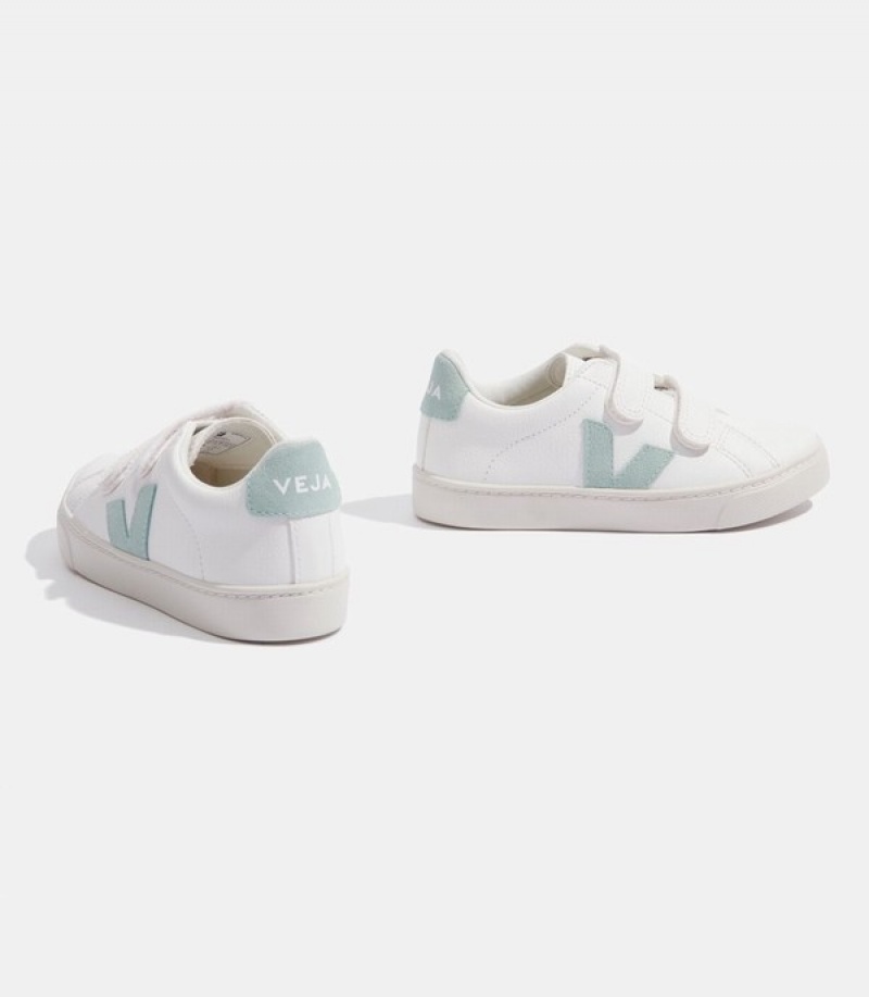 Veja Classic Lifters Graphic Oversized Lightweight Kids | NHBR93048