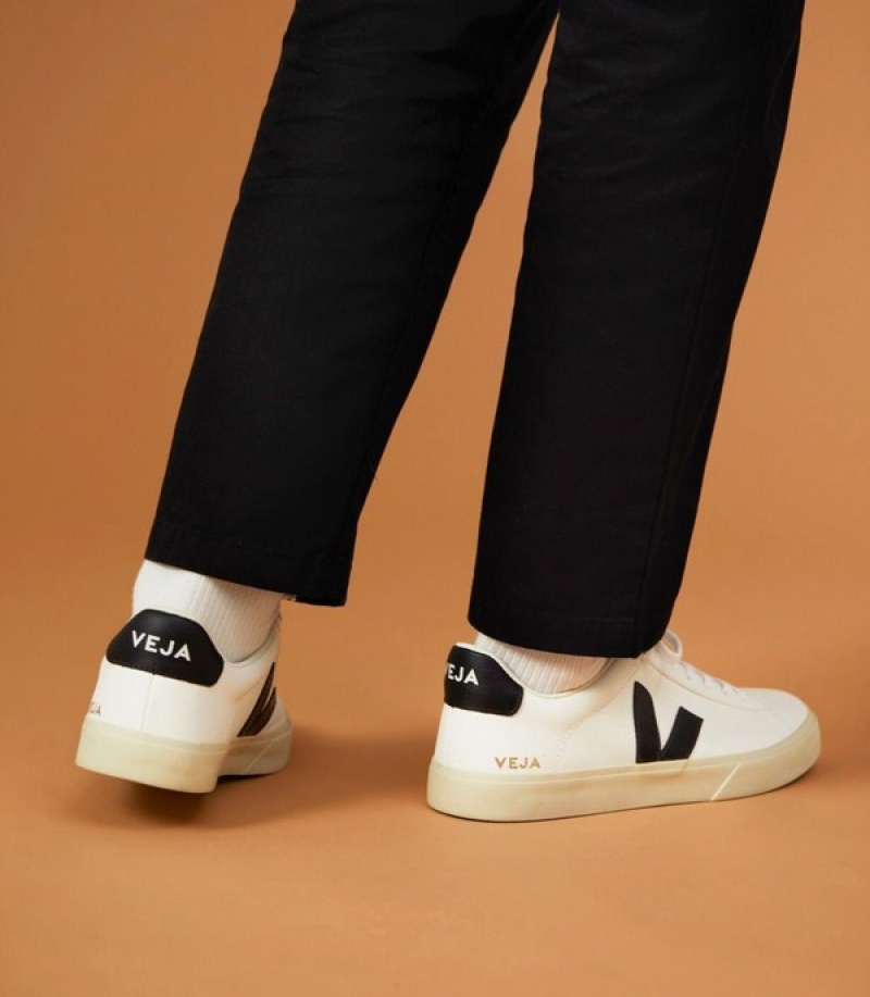 Veja Effortless Seamless Cycling Men | QPCV41065