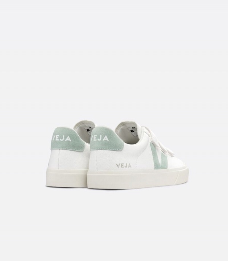 Veja Foundations Crop Men | KULB01983