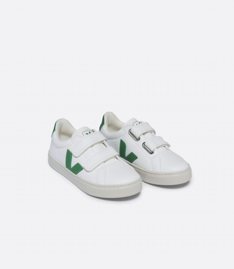 Veja Raising The Bar Graphic Muscle Crop Kids | LFBD09682