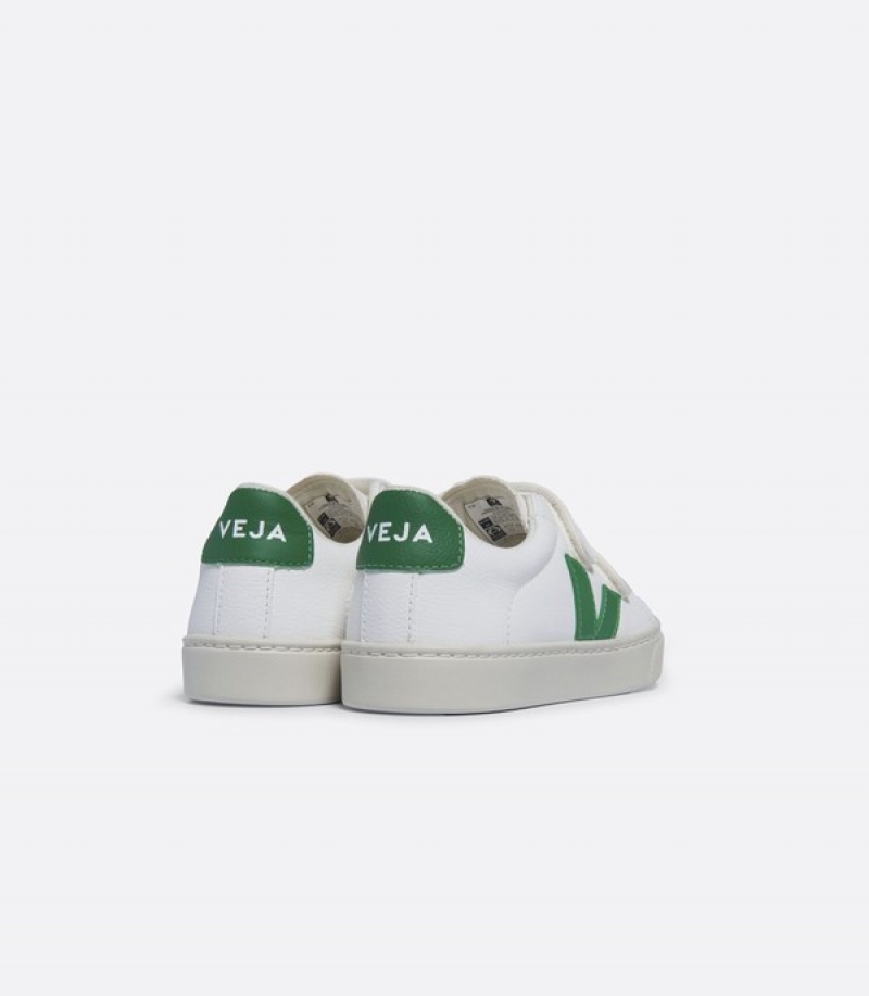 Veja Raising The Bar Graphic Muscle Crop Kids | LFBD09682