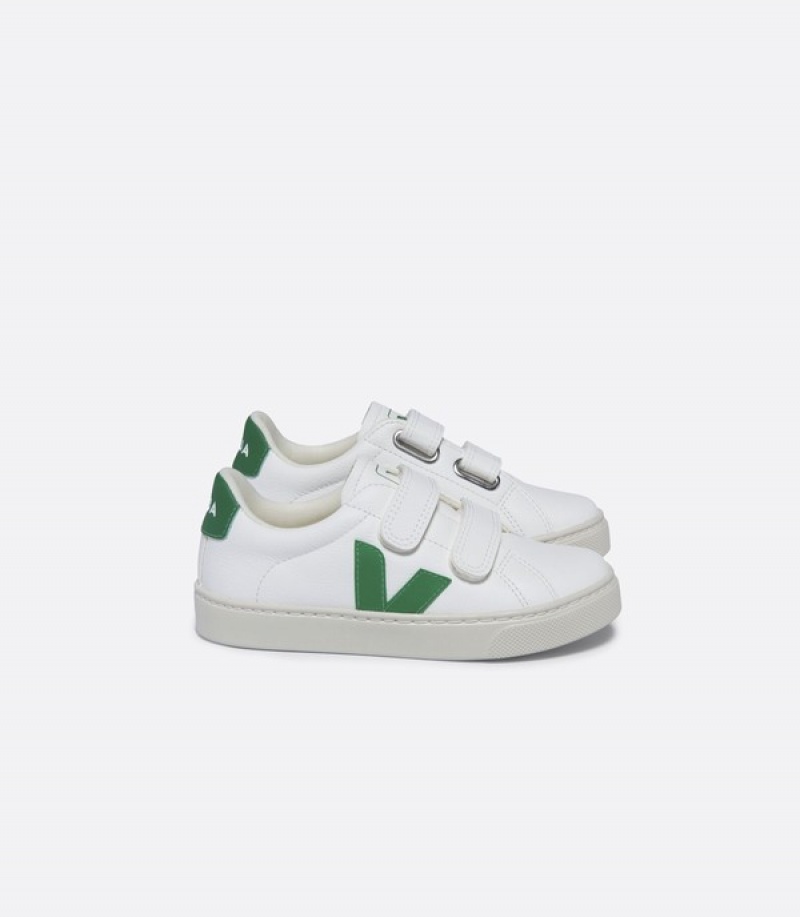 Veja Raising The Bar Graphic Muscle Crop Kids | LFBD09682